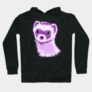 Ferret Cuteness In Purple Hoodie